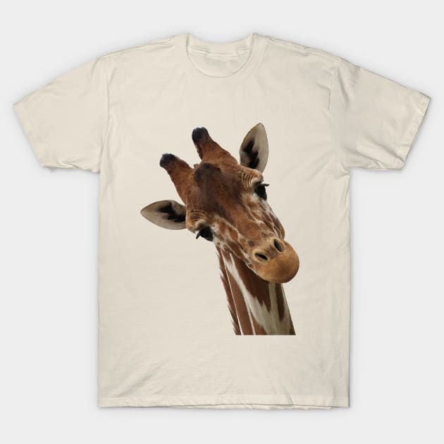 Quirky Giraffe T-Shirt by madmonkey